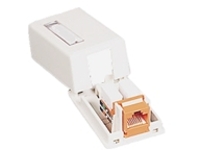 C2G Premise Plus - Surface mount box