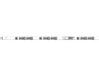 Raritan PX intelligent PX3-5528V