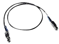 Promise - SAS external cable
