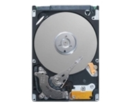 Dell - Hard drive - 300 GB