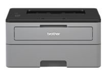 Brother HL-L2310D - Printer