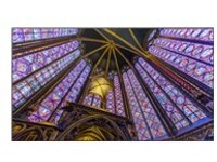 65 COMM QLED LCD DISPLAY-TA