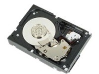 Dell - Hard drive - 1 TB
