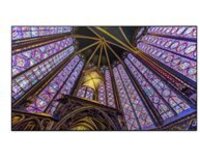 55  COMM QLED LCD DISPLAY-TA
