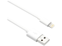 Axiom - Lightning cable