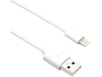 Axiom - Lightning cable