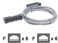 APC - Network cable - RJ-45 (F) to RJ-45 (F)