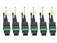 Tripp Lite MTP/MPO (APC) Singlemode Slim Trunk Cable, 24-Strand, 40/100 GbE, 40/100GBASE-PLR4, Plenum, 6mm Dual Jacket, 11 m (36 ft.)