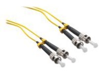 Axiom ST-ST Singlemode Duplex OS2 9/125 Fiber Optic Cable