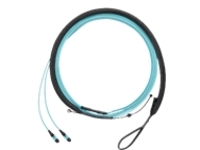 Panduit QuickNet PanMPO Round Harness Cable Assemblies - network cable - 3.5 m - aqua