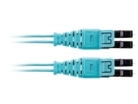 Panduit Opti-Core Fiber Optic Patch Cord