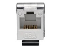 Tripp Lite Cat6a 110-Style Punchdown RJ45 Keystone Jack, White, TAA