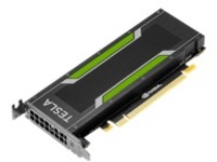 NVIDIA Tesla P4 - GPU computing processor