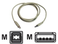 Zebra - USB cable - USB (M) to USB Type B (M)