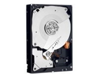 Dell - Customer Kit - hard drive