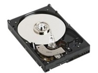 Dell - Customer Kit - hard drive