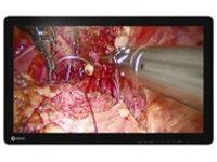 EIZO CuratOR EX2620-3D