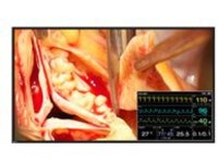 EIZO CuratOR LX491W-BK