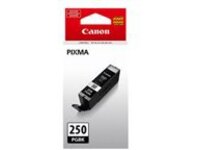 Canon PGI-250PGBK - Pigmented black