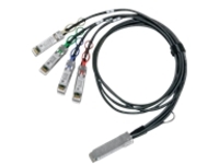 Mellanox LinkX 100GBase direct attach cable - 2 m