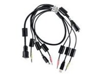 Avocent - Keyboard / video / mouse / audio cable