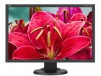 NEC MultiSync E245WMi-BK