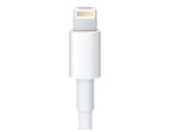 Apple Lightning to 30-pin Adapter