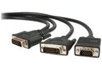 StarTech.com 6 ft DVI-I Male to DVI-D Male and HD15 VGA Male Video Splitter Cable