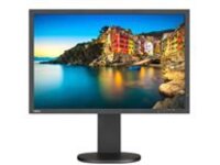 NEC MultiSync P243W-BK