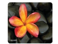 Allsop Naturesmart - Mouse pad