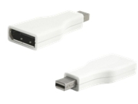 Axiom - DisplayPort adapter