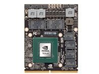 NVIDIA Tesla P6 - GPU computing processor