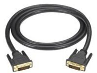 Black Box - DVI cable
