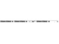 Raritan PX3-1731IU - Power distribution unit (rack-mountable)
