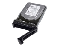 Dell - Customer Kit - SSD