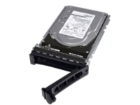 Dell - Customer Kit - SSD