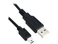 Axiom - USB cable - USB (M) to mini-USB Type B (M)