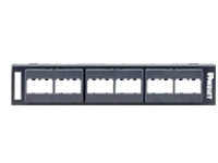 Panduit MINI-COM Modular Faceplate