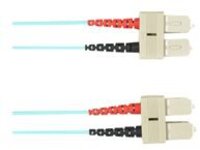 Black Box - Patch cable