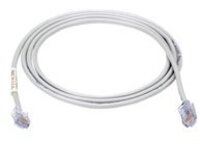 Black Box - T1 cable