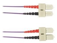 Black Box - Patch cable