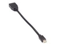 Black Box Video Adapter Dongle
