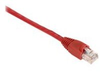 Black Box GigaBase - Patch cable