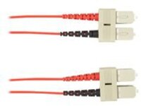 Black Box - Patch cable