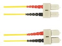 Black Box - Patch cable