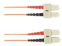 Black Box - Patch cable
