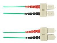 Black Box - Patch cable