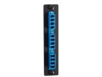 Black Box Standard Adapter Panel
