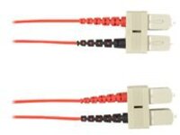 Black Box - Patch cable