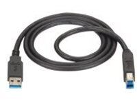 Black Box - USB cable